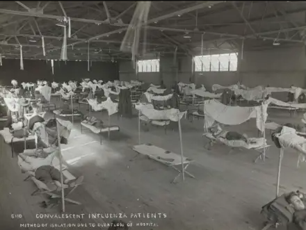 Profesi Keperawatan dalam Pandemi Flu Spanyol #16